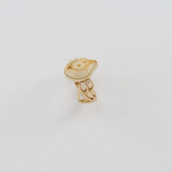 Snake River Ring with Ivory