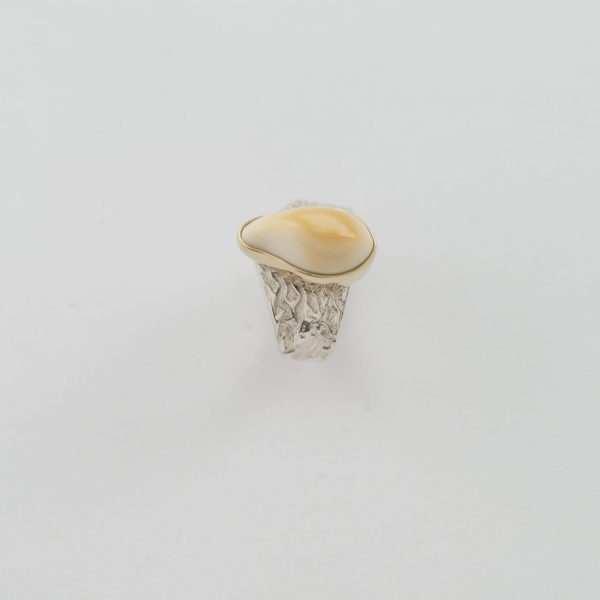 silver elk ivory ring with gold bezel