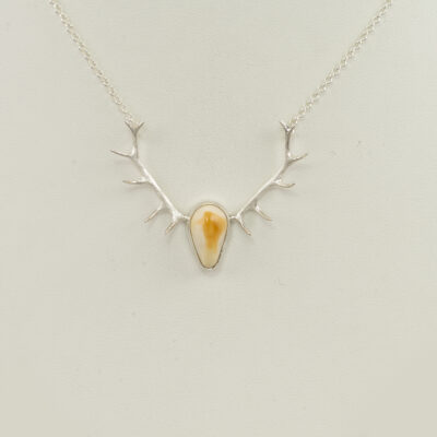 Here is an elk ivory and antler necklace. Made with sterling silver. The ivory from a bull elk. The chain has a lobster claw clasp.