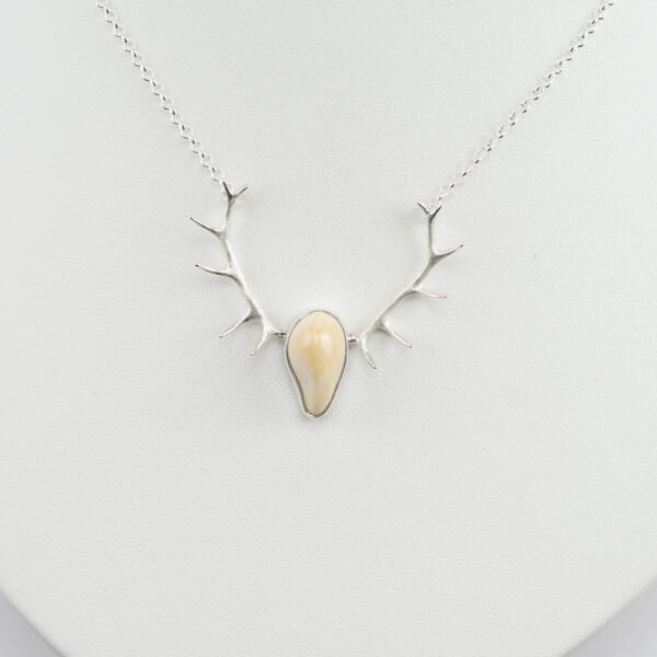 This elk ivory and large antler pendant was cast in silver. The elk ivory is from a bull. The chain is 16" and has a lobster claw clasp.